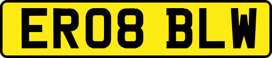 ER08BLW
