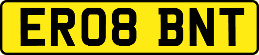 ER08BNT
