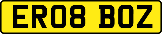 ER08BOZ