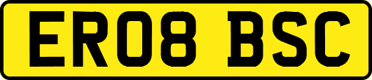 ER08BSC
