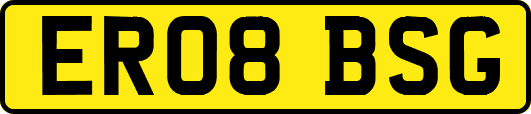 ER08BSG