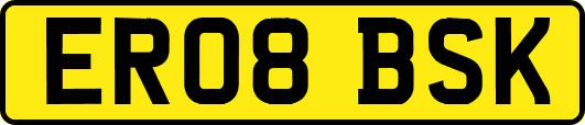 ER08BSK