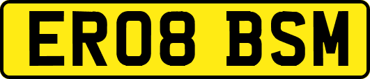 ER08BSM