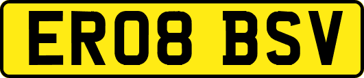 ER08BSV