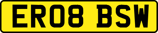 ER08BSW