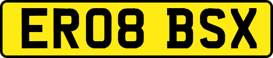 ER08BSX