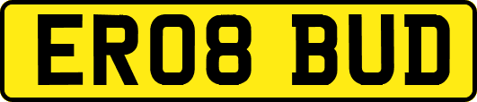 ER08BUD