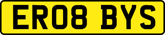 ER08BYS