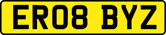 ER08BYZ