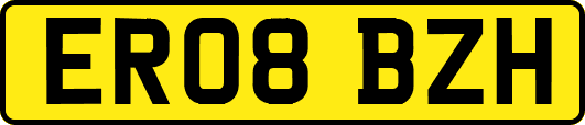 ER08BZH