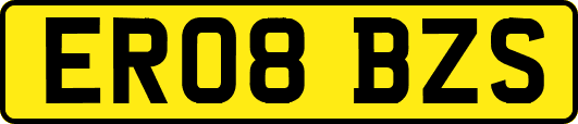 ER08BZS