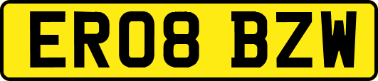 ER08BZW