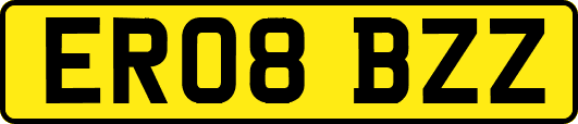 ER08BZZ