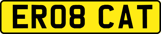 ER08CAT