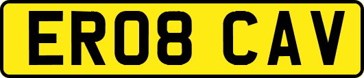 ER08CAV