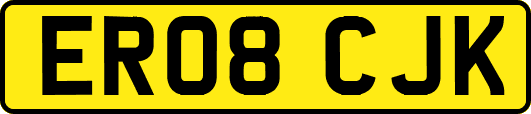 ER08CJK
