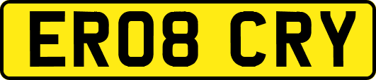 ER08CRY