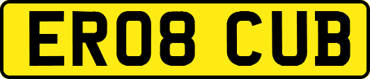 ER08CUB