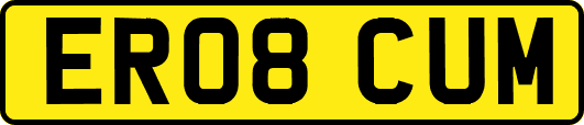 ER08CUM
