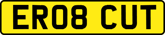 ER08CUT