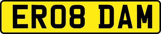 ER08DAM