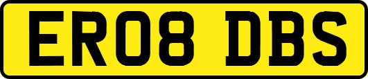 ER08DBS