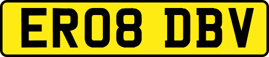 ER08DBV