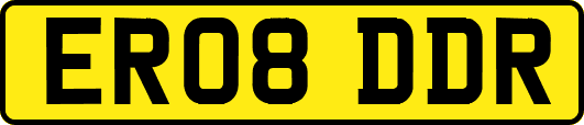 ER08DDR