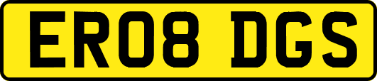 ER08DGS