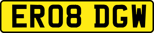 ER08DGW