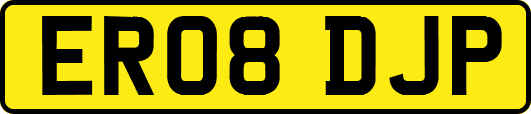 ER08DJP