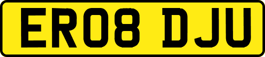 ER08DJU