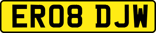 ER08DJW