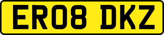 ER08DKZ