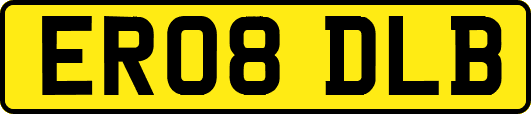 ER08DLB
