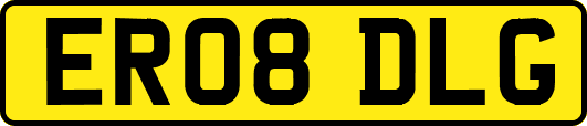 ER08DLG