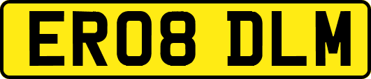 ER08DLM