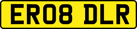 ER08DLR