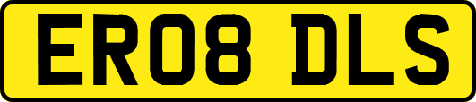 ER08DLS