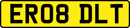 ER08DLT