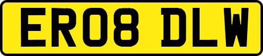 ER08DLW