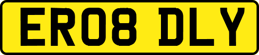 ER08DLY