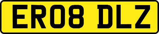 ER08DLZ