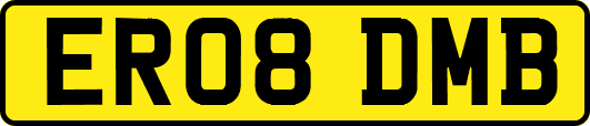 ER08DMB