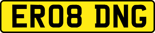 ER08DNG