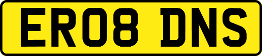 ER08DNS