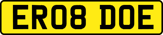 ER08DOE