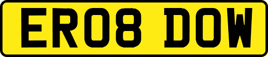 ER08DOW