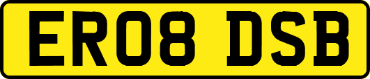 ER08DSB
