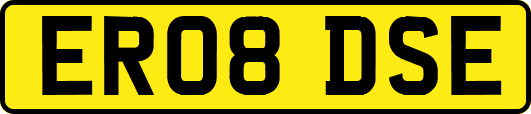 ER08DSE